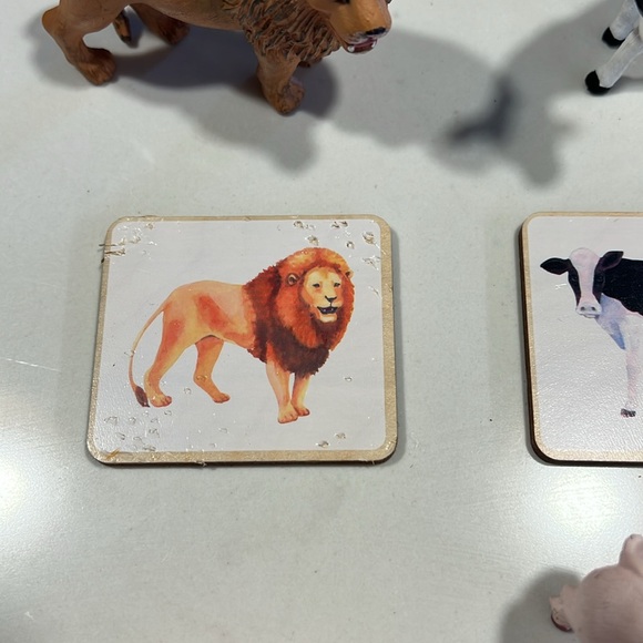 Lovevery Set of Animals and Wooden Cards - Picture 5 of 6